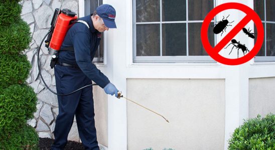 Bafra Bit İlaçlama böcek ilaçlama ve haşere kontrolü — ilaclama-tr.com
